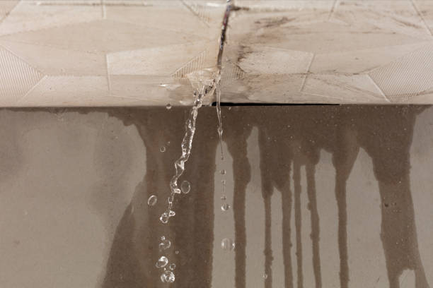 Professional Structural Drying technician working in Bridgeport, MI